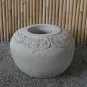 morepic-6